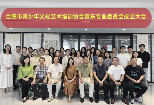 合肥市青少年文化藝術培訓協(xié)會音樂專業(yè)委員會正式成立