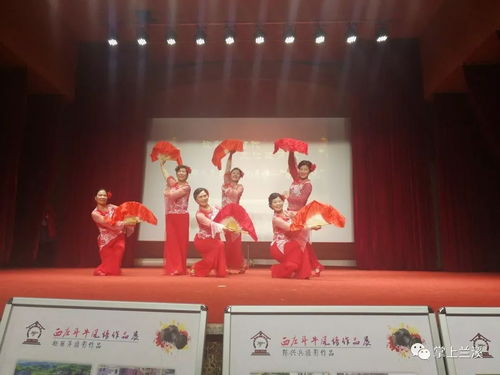 文化惠風(fēng)暖鄉(xiāng)間——記蘭溪市水鳥文化藝術(shù)團(tuán)2019新春“百臺村晚”之行